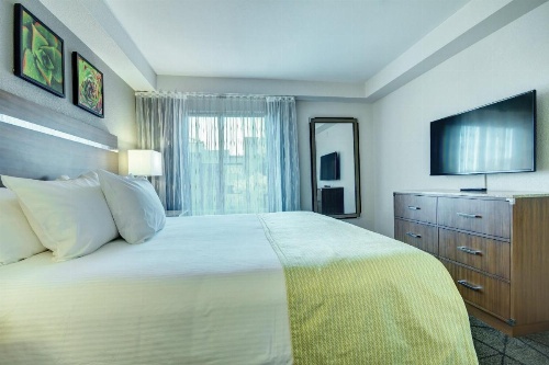 Desert Rose Resort image 15