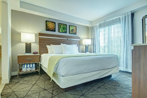 Desert Rose Resort image 4